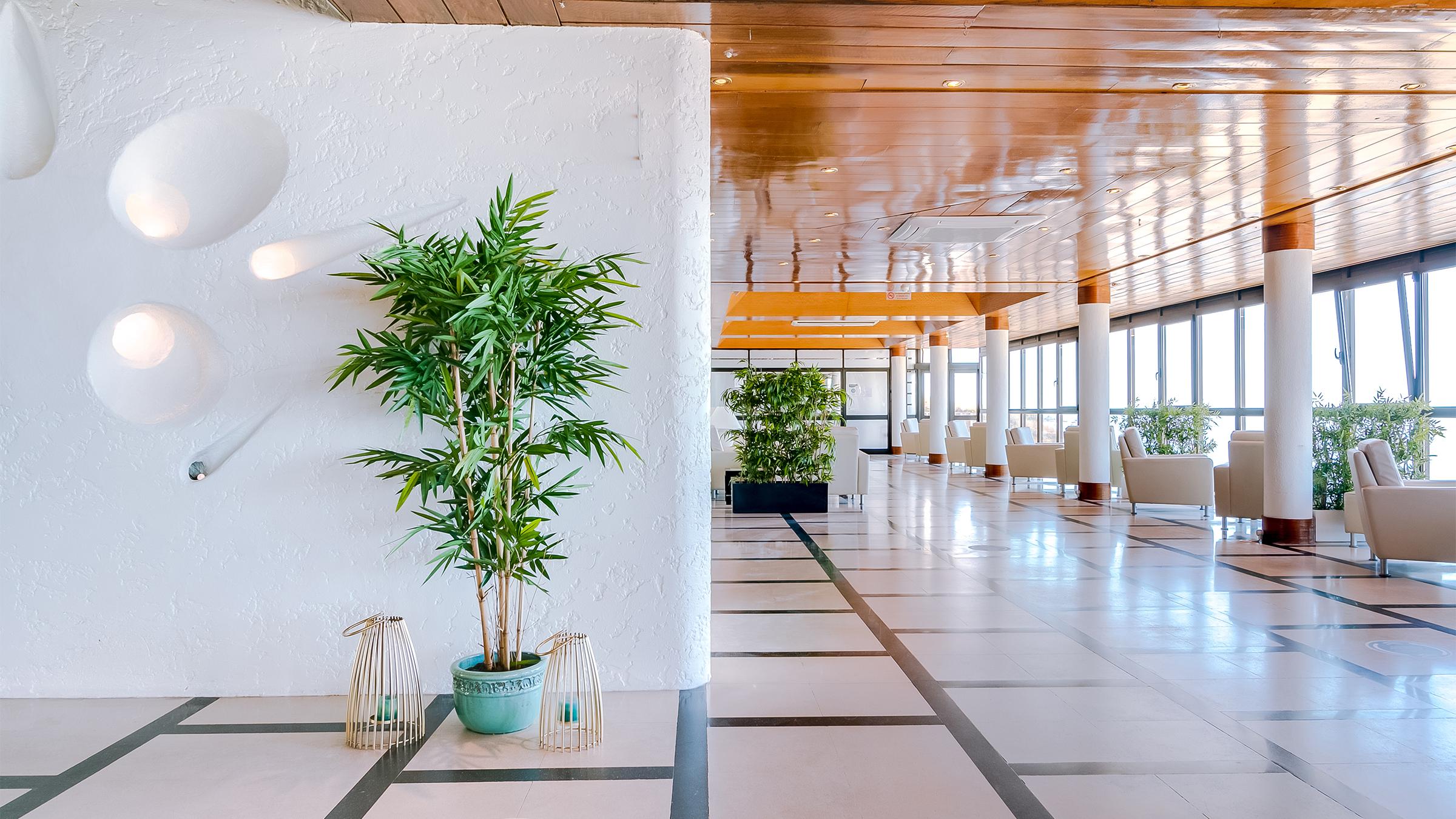 Hotel Sol E Mar Albufeira - Adults Only Dış mekan fotoğraf
